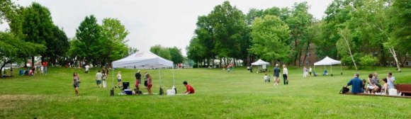"The Rock," Roosevelt Island Pioneer Alumni Slammed with $7.5K Fee by RIOC The Rock alumni quietly spread out across Lighthouse Park.